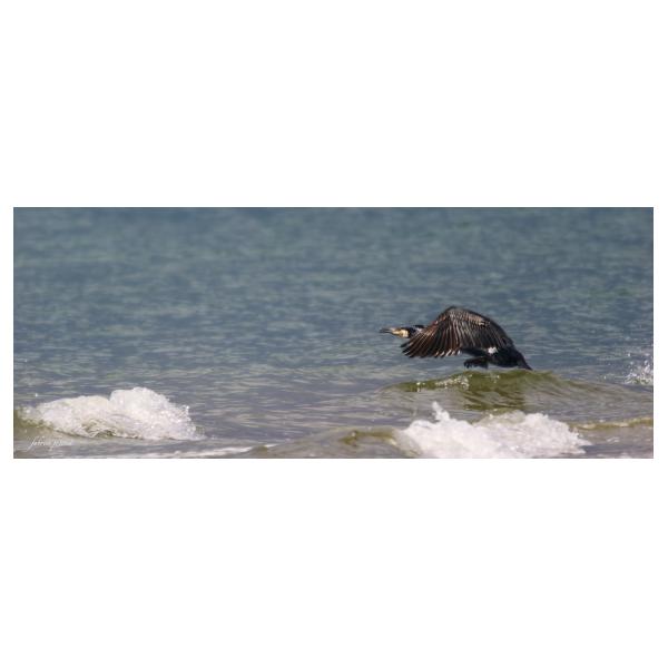 PHOTO84, CLUB, 84 , LUBERON